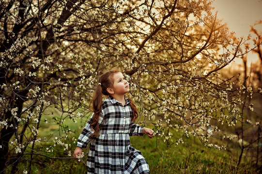 Little girl on a walk in a blooming garden at sunset