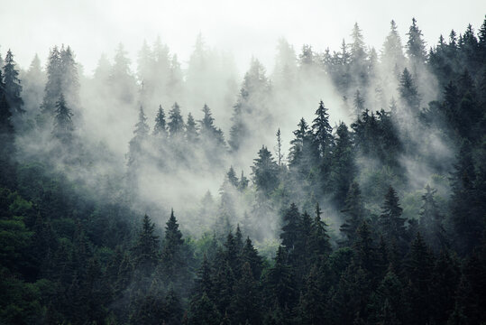 Misty mountain landscape © Roxana