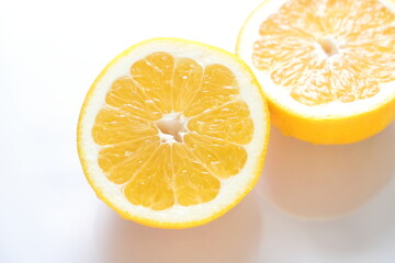 美生柑　河内晩柑