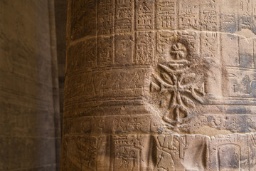 Kreuzritter Ägypten