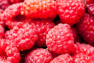 sweet raspberry fruit