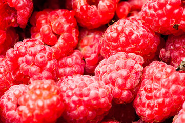 sweet raspberry fruit