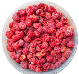 sweet raspberry fruit