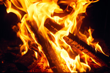 Fototapeta premium A fire burns in a fireplace, Fire to keep warm. Logs burning in a fireplace