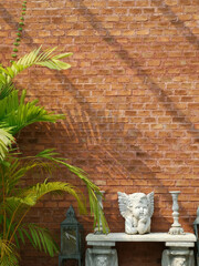 Orange brick wall background with green palm tree in the garden.
