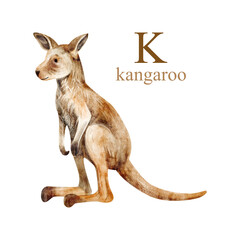 Watercolor illustration of cute kangaroo. Cute animal alphabet series A-Z