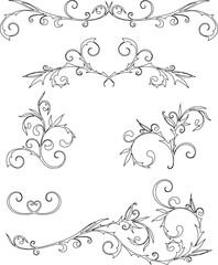 Vector contour drawings of vintage floral design elements