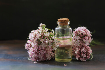 cat plant oil; Valeriana officinalis oil