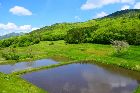 「江刺」の写真素材 411件の無料イラスト画像 Adobe Stock