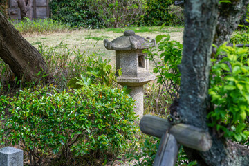 日本庭園の静かな春の景色