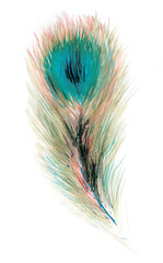 An isolated image of a large gracefully curved multicolored bird feather. Bright unusual decor for fans of nature and animals. Watercolor illustration for original creative tattoo, print, postcard.