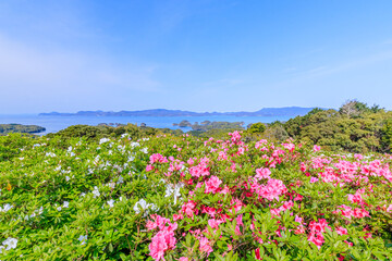 Obraz premium 西海国立長串山公園のつつじ 長崎県佐世保市 Azalea Nagasaki-ken Sasebo city Saikai National Park Nagakushiyama park