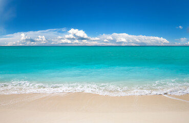 beautiful beach and tropical sea