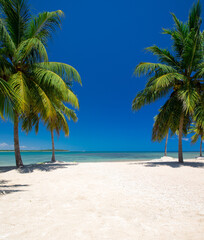 tropical Maldives island with white sandy beach and sea