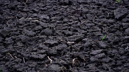 black soil, black plowed land in the field.