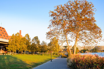 Naklejka premium Empty paved riverside path lined with street lights in a waterfront park at sunset in autumn. A beautiful autumn tree is in foreground. Georgetown, Washington DC, USA.