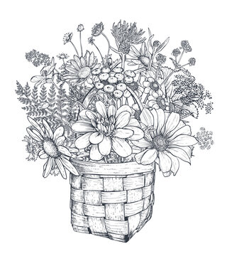 Vector floral composition with black and white hand drawn herbs and wildflowers