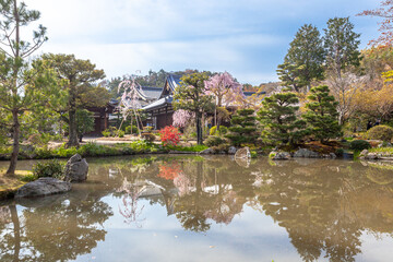 Obraz premium 法金剛院