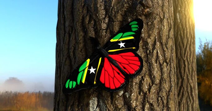 Flag of Saint Kitts and Nevis on Butterfly Wings Realistic 4K UHD 60FPS