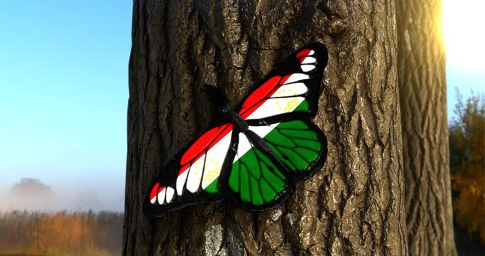 Flag of Tajikistan on Butterfly Wings Realistic 4K UHD 60FPS