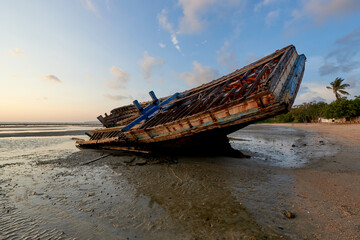 Fototapeta na wymiar A shipwreck on the beach during low tide