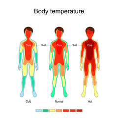 Body temperature and thermoregulation.