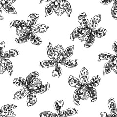 Seamless pattern with black and white cattleya aclandiae