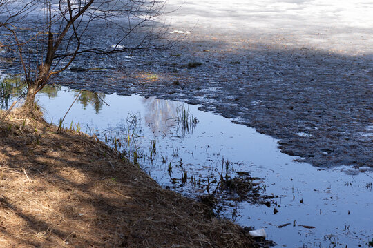 Landscape with ground coast, river  water, meliing ice, sun light in sunny spring day