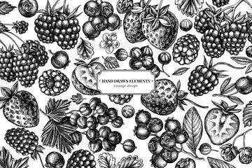 Design with black and white strawberry, blueberry, red currant, raspberry, blackberry
