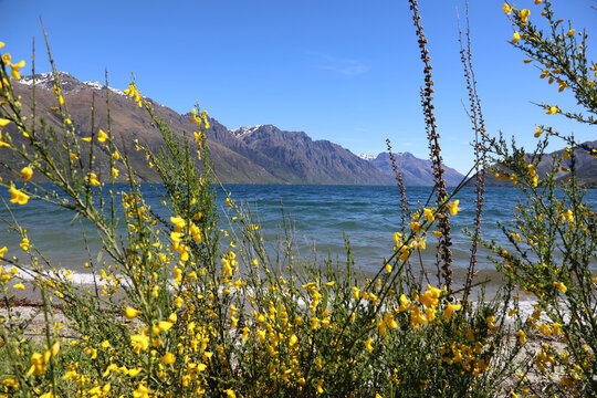 Lake Wakatipu / Lake Wakatipu