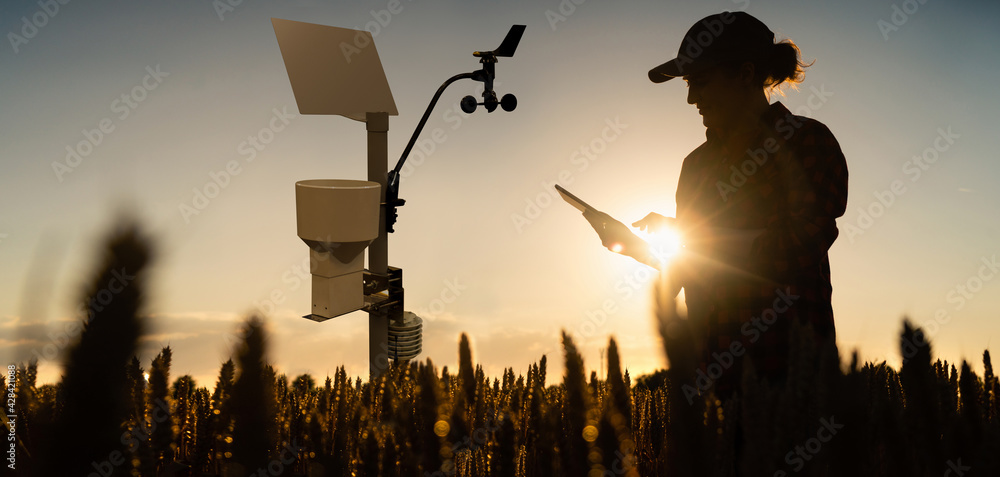 Aufkleber farmer with tablet in a wheat field. weather station in the field.