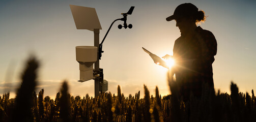 Farmer with tablet in a wheat field. Weather station in the field.