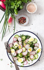 Spring salad with fresh cucumber, radishes, herbs,  lemon in bowl . Concept of healthy eating.  Food for vegetarians.