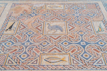 Mosaic the house of Eustolios at the ancient city of Kourion, near Limassol, Cyprus