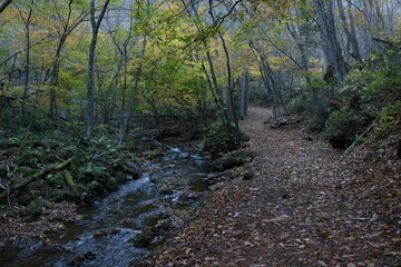 福島県の猪苗代の達沢不動滝