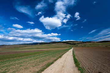 Fototapeta na wymiar Dirt road leading through agricultural fields to the mountain, beautiful blue sky with white clouds.