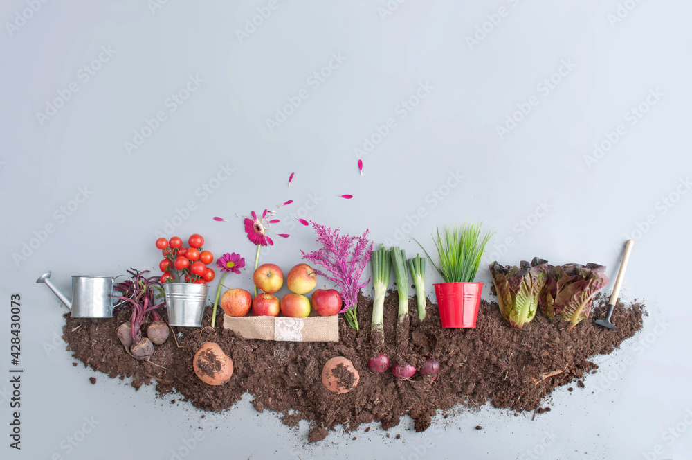 Wall mural Organic fruits and vegetables growth