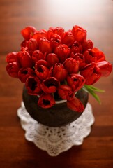 bouquet of flowers tulips
