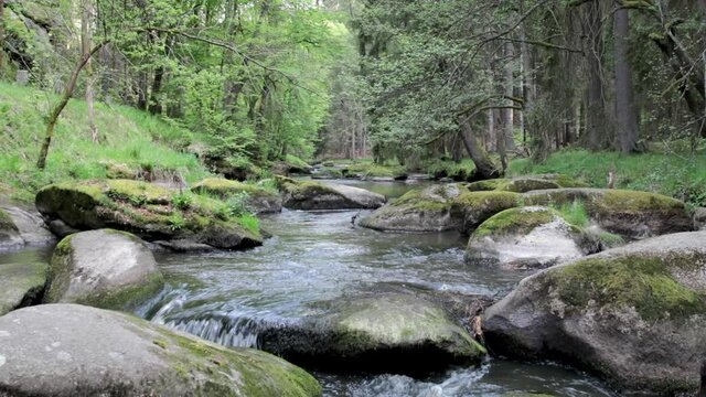 Fr&uuml;hsommerlicher Flusslauf im Wald, Wasser &uuml;ber Felsen, Waldnaab, Waldnaabtal
