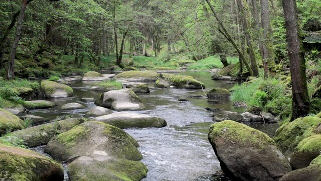 Fr&uuml;hsommerlicher Flusslauf im Wald, Wasser &uuml;ber Felsen, Waldnaab, Waldnaabtal