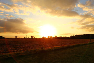 Obraz premium sunset over the field