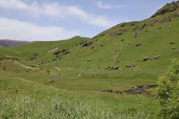 Fototapeta premium Neuseeland - Landschaft Mangaohane Gegend / New Zealand - Landscape Mangaohane Area /