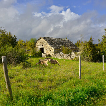 Carr&eacute; bergerie dans les causses des C&eacute;vennes sur les hauteurs de La Mal&egrave;ne (48210), d&eacute;partement de la Loz&egrave;re en r&eacute;gion Occitanie, France