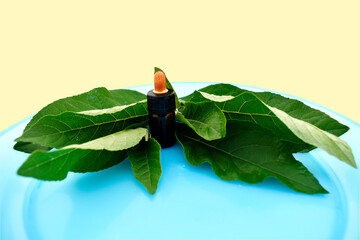 Green herbal leaves, Bitter leaf tree, Gymnanthemum extensum, Vernonia amygdalina, Nan Fui Chao,...