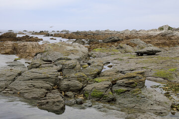Küste Kaikoura / Kaikoura coast /