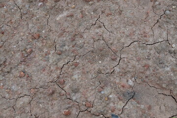 dry soil