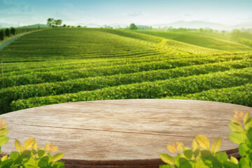Wooden table top with blurry tea plantation landscape againt blue sky and blured green leave frame Product Dispaly stand background concept