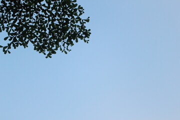 negative space