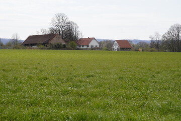  a green field in Europe