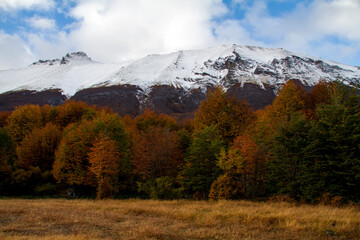 Autumn woods and snow mountain